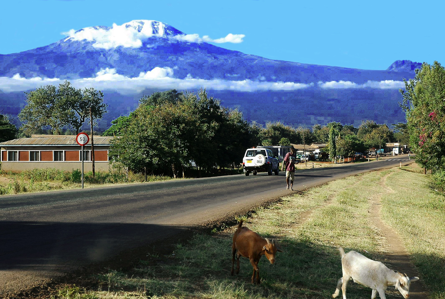 Kilimanjaro - Kili plus two Goats - 170.jpg
